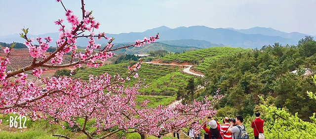 巴黎人·澳门(中国区)官方网站入口